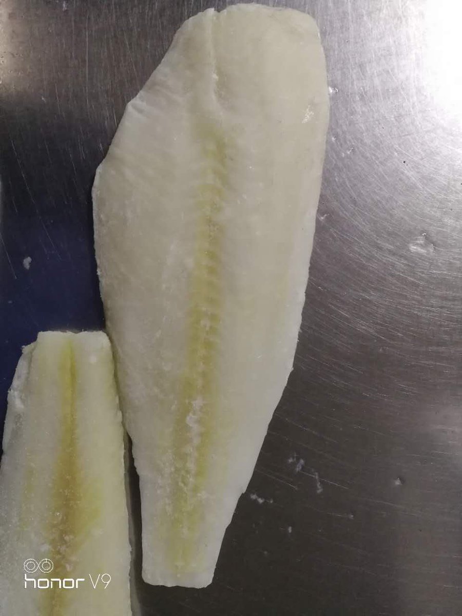 DoubleshellS's tweet image. Sashimi grade ATF fillets for South Korea markets