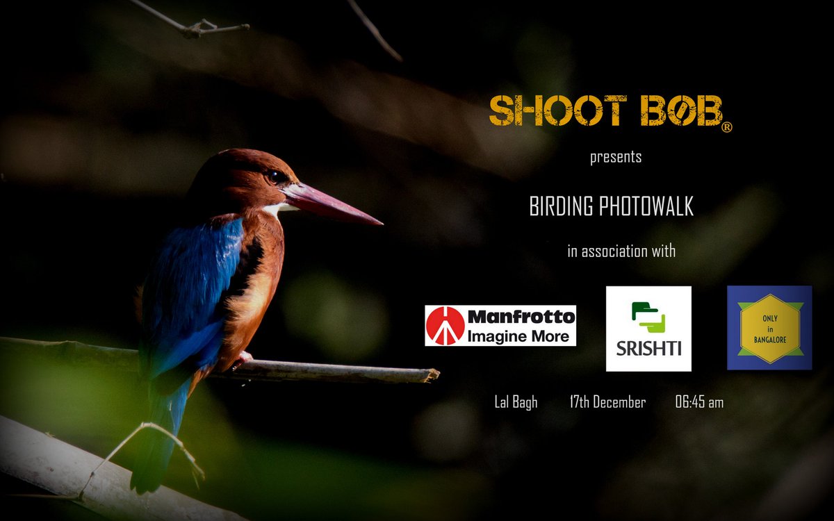 Come celebrate this December with birds of Lal Bagh

Registrations open till 12 noon tomorrow

Register here : shootbob.com/birding-photo-…

It's FREE! 
In association with Only In Bangalore & @manfrotto_tweet

#photography #nature #lalbagh #photographyevent #weekendevent #olyinbang