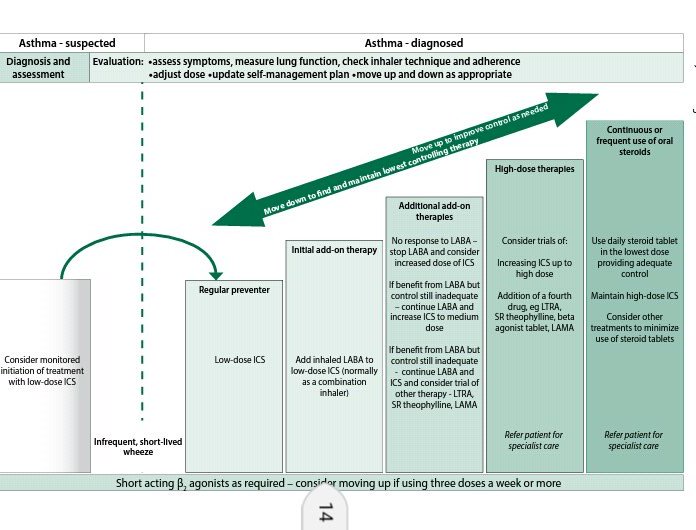 nice asthma guidelines 2017 pdf
