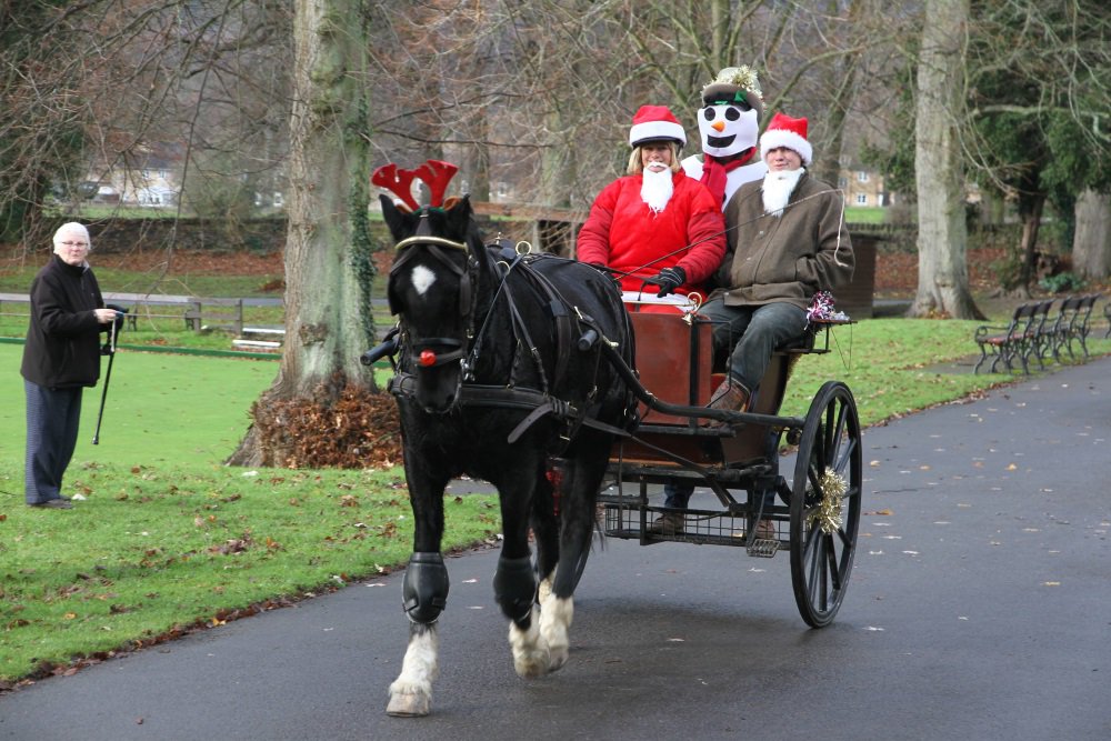 Another great Christmas picture received from Rita Stevens driving her Hackney gelding, Rough Knight. Son, Martin Spendlove is sat beside Rita and Jason Spendlove is the snowman! ⛄️⛄️⛄️
The vehicle is a Bennington backstep
Thank you for sharing Rita
<a href="/britshdrivingsc/">British Driving Soc.</a>