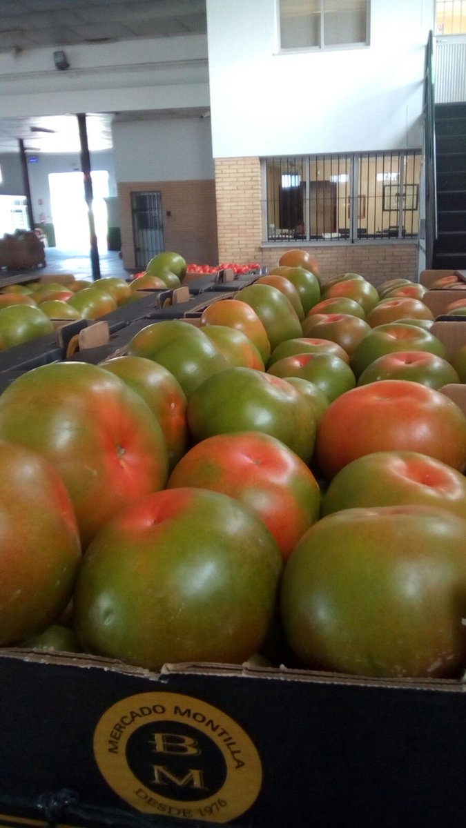 aggbiotech's tweet photo. La calidad con Rizorganic Complex se paga mejor. Olé por esos tomates de Cádiz #PUMAEP https://t.co/OwxjA9BXSt