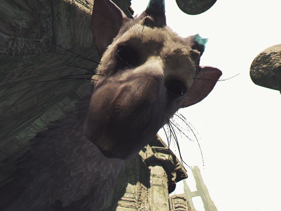 datassizetho's tweet photo. Seeing my son in VR is life changing #PS4share https://t.co/KVbXhzaitQ