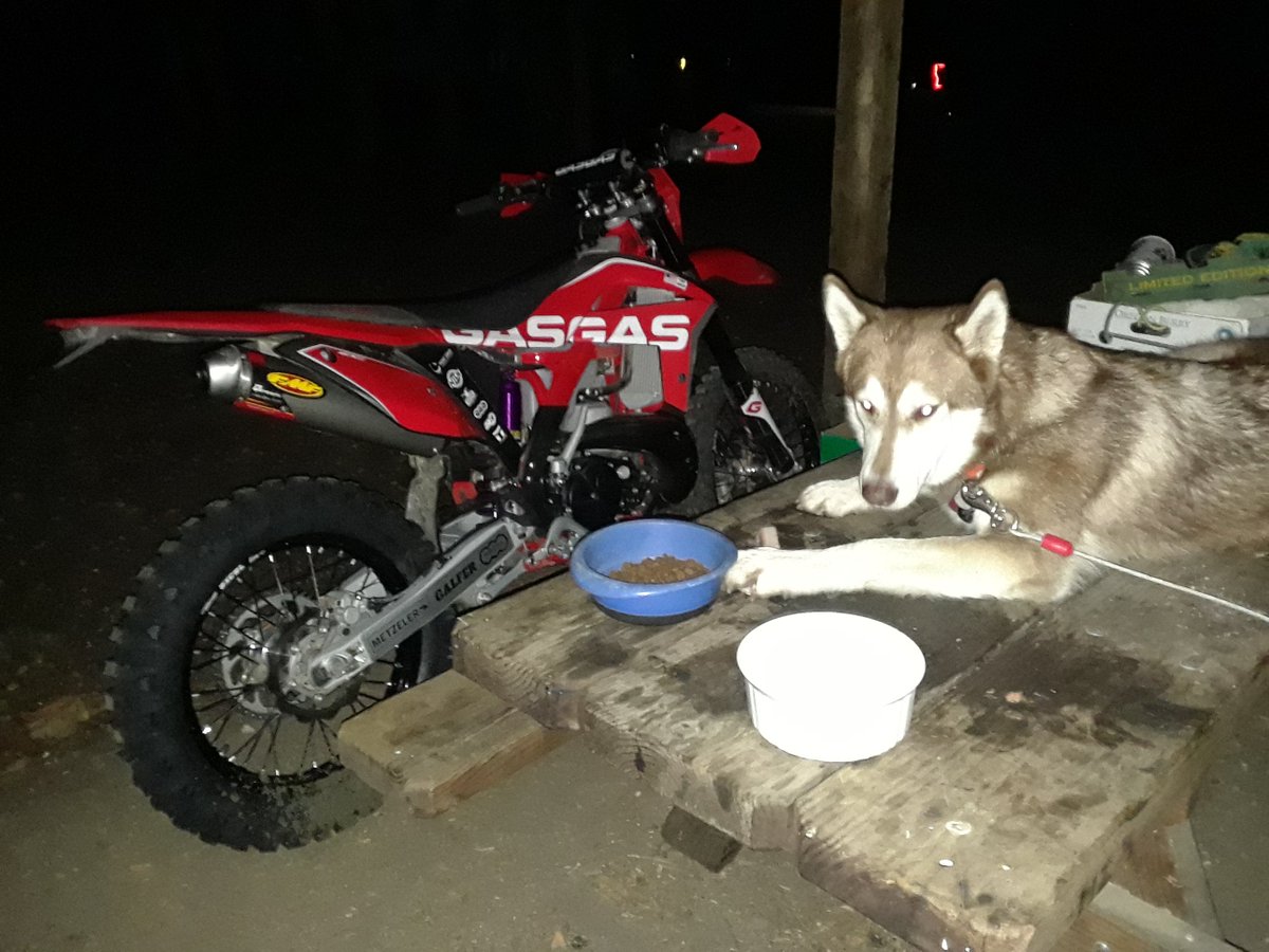 antonioFgarcia's tweet photo. @gasgasmotos Noah Kepple gets first big-race win in N. America for the Gas Gas Phoenix 300 at the Tecate Enduro. 

Noah Kepple ganador del famoso Tecate Enduro. ?La primera gran victoria en Nor America para el Gas Gas Phoenix 300?

La photo es de mi querida 2017 EC300R. !Moto Brillante! https://t.co/a71ksqY1jU