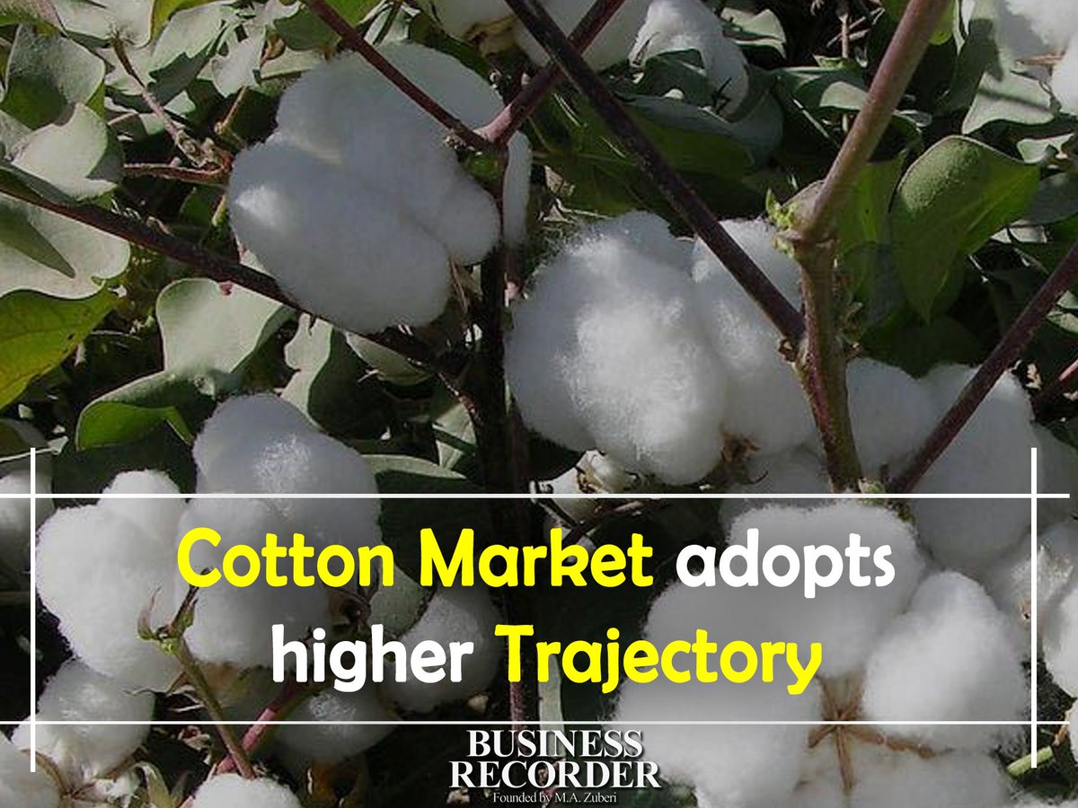 brecordernews's tweet image. Domestic #cottonmarket has entered its third week of rising prices 
#BRupdates #BusinessRecoder 
Details Here:
fp.brecorder.com/2017/12/201712…