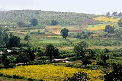 Wildodisha's tweet photo. It is almost impossible to imagine that a hot and torrid region like Odisha has a hill-station where it snows in winters,
#Daringibadi #odishatourism #wildodisha https://t.co/alX1kUTiK9 https://t.co/22Aj2yNMhM