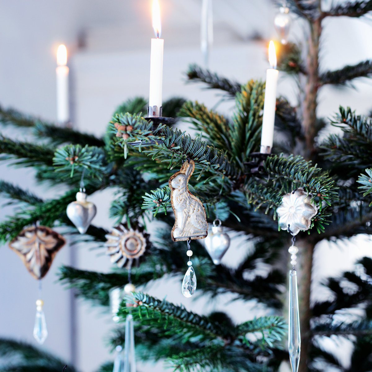 XPLRScandinavia's tweet photo. The Christmas tree is central to the Danish way of celebrating the festive season. Traditionally the Danish Christmas tree is the common spruce type, also known as Norwegian spruce.
📷Kristian Krogh Go VisitDenmark
#Christmastree #Danishchristmas #spurce #Christmas https://t.co/LH5F54XDya