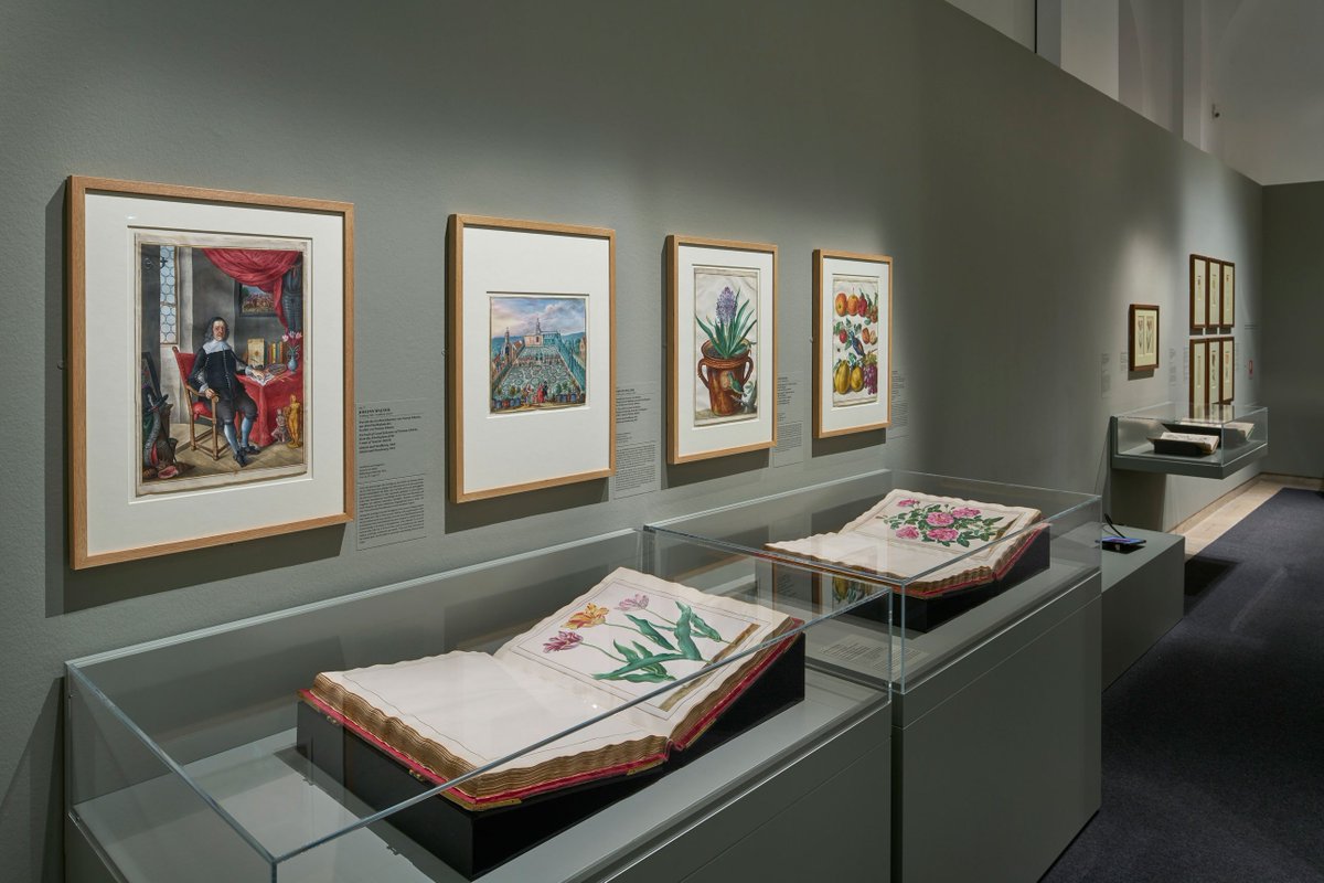 staedelmuseum's tweet photo. Neu auf dem Städel Blog: Mein Schloss, meine Kutsche – meine Blumen🌹. Blumenbücher im 16. Jahrhundert https://t.co/RVrH1paSH2 #MSMerian https://t.co/7fdnvwj4rh