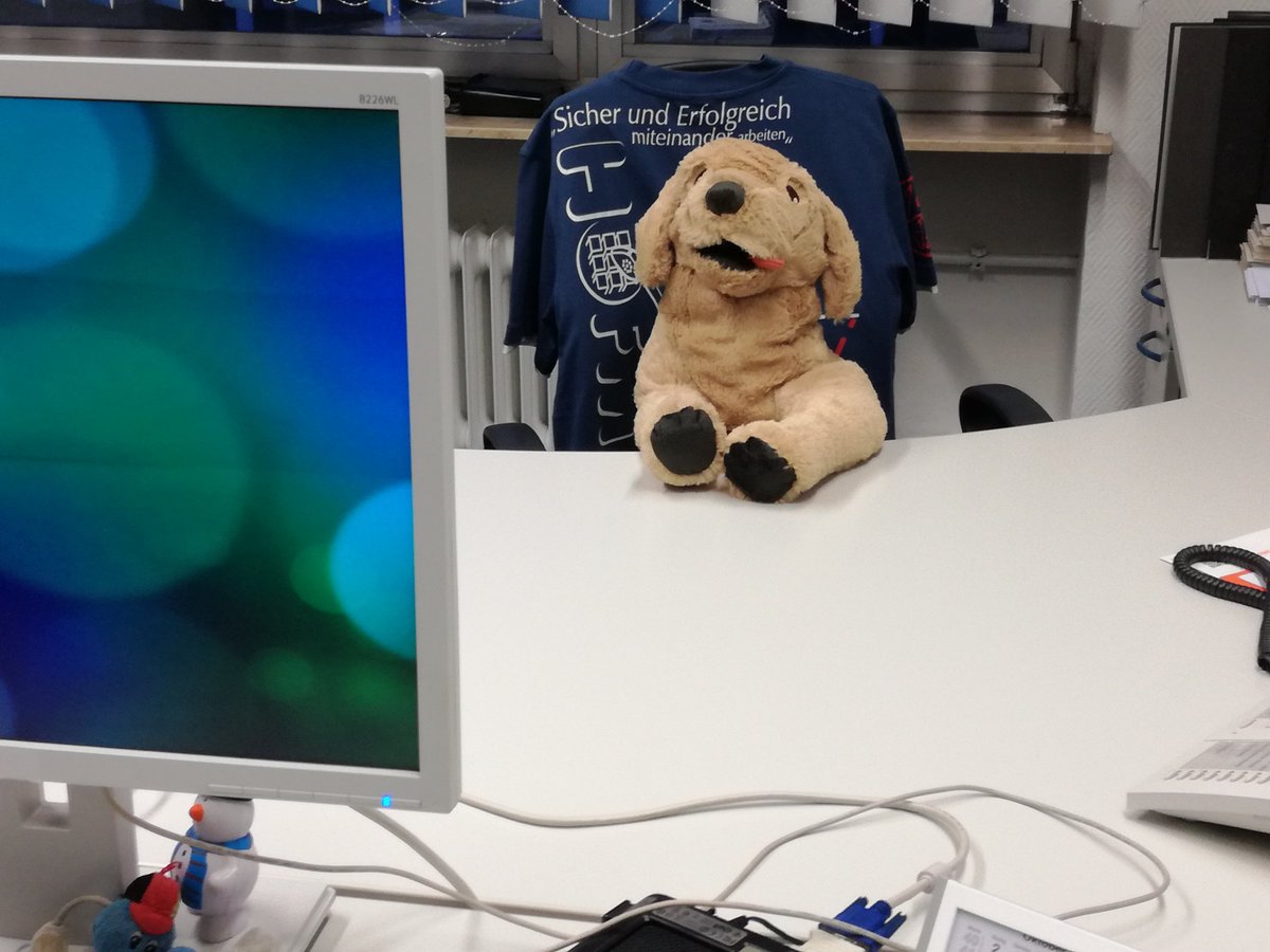 BiSu86's tweet photo. Endlich nimmer allein im Büro 💞🐕 https://t.co/sW5WLDuow0