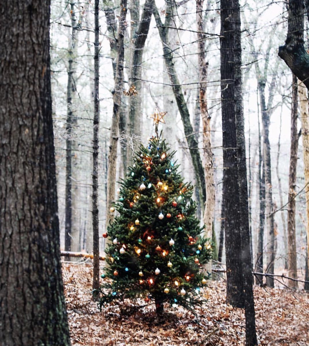 Buenos días 🎄 #xmasmood #davidchristian #navidad Pic by Kiel James Patrick