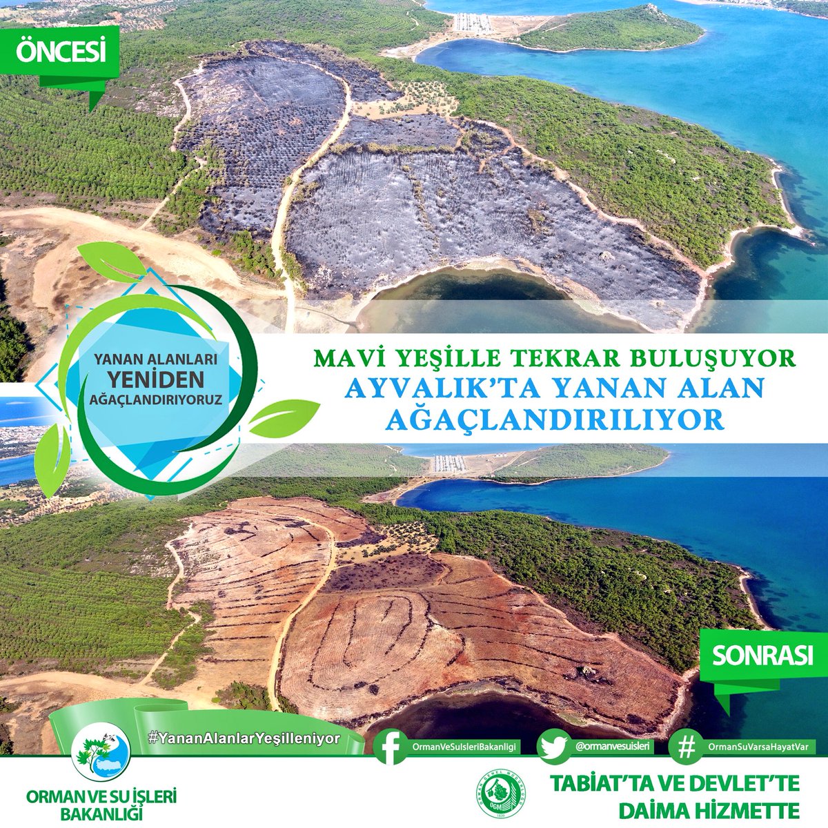 Maviyle yeşil tekrar buluşuyor. Bugün #Ayvalık Cennet Koyu’nda 33.350 fidanı toprakla buluşturuyoruz. #YananAlanlarYeşilleniyor