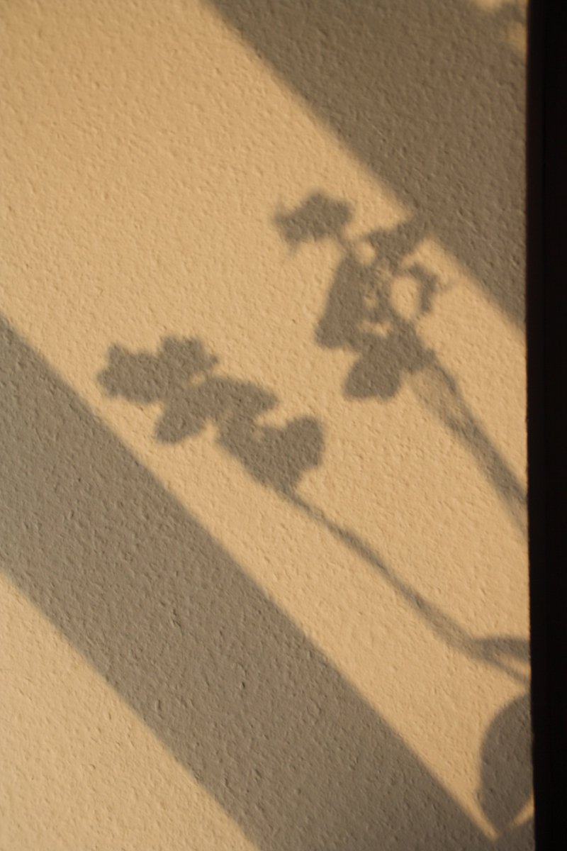 Nachfolge und Firmen im Generationswechsel brauchen PArtner für das Gelingen! wie-weiter-jetzt.de