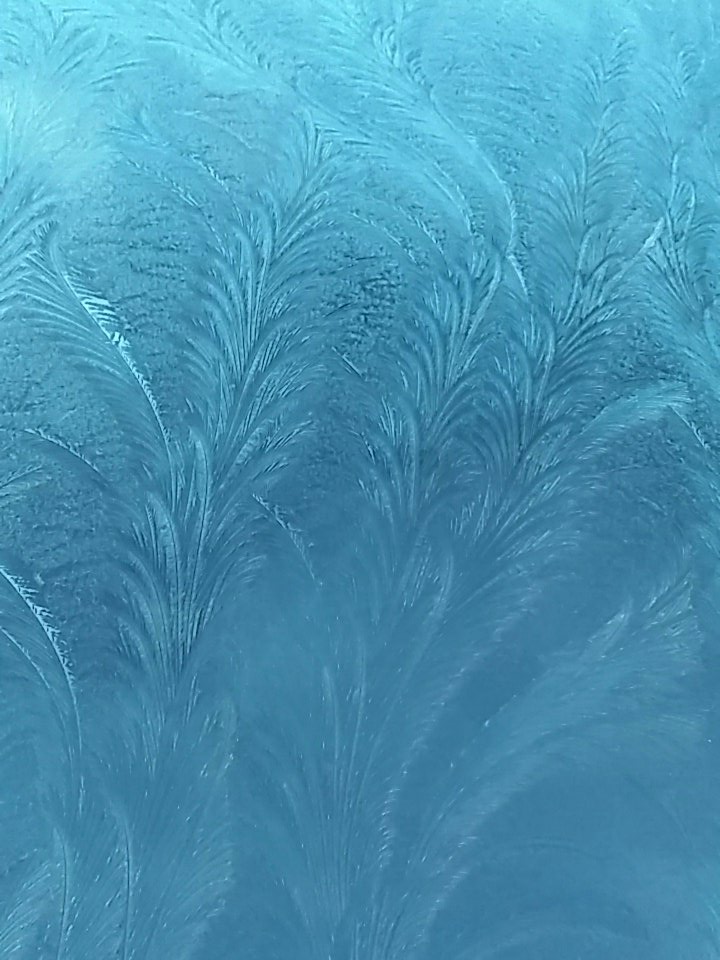 #featheryice #winterwindscreen