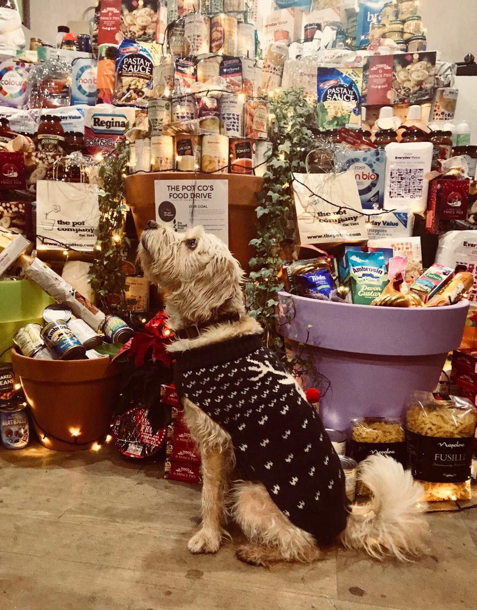 ThePotCompany's tweet photo. Thank you to everyone who contributed to our food drive for @trusselltrust!  We've collected 724 items in total.  470 Food Items, 86 Baby Products, 141 Toiletries &amp; 27 Household Items!  We're delivering our items on Monday; you can still contribute at https://t.co/xbZJbGY9DL https://t.co/rg8Dx114VC