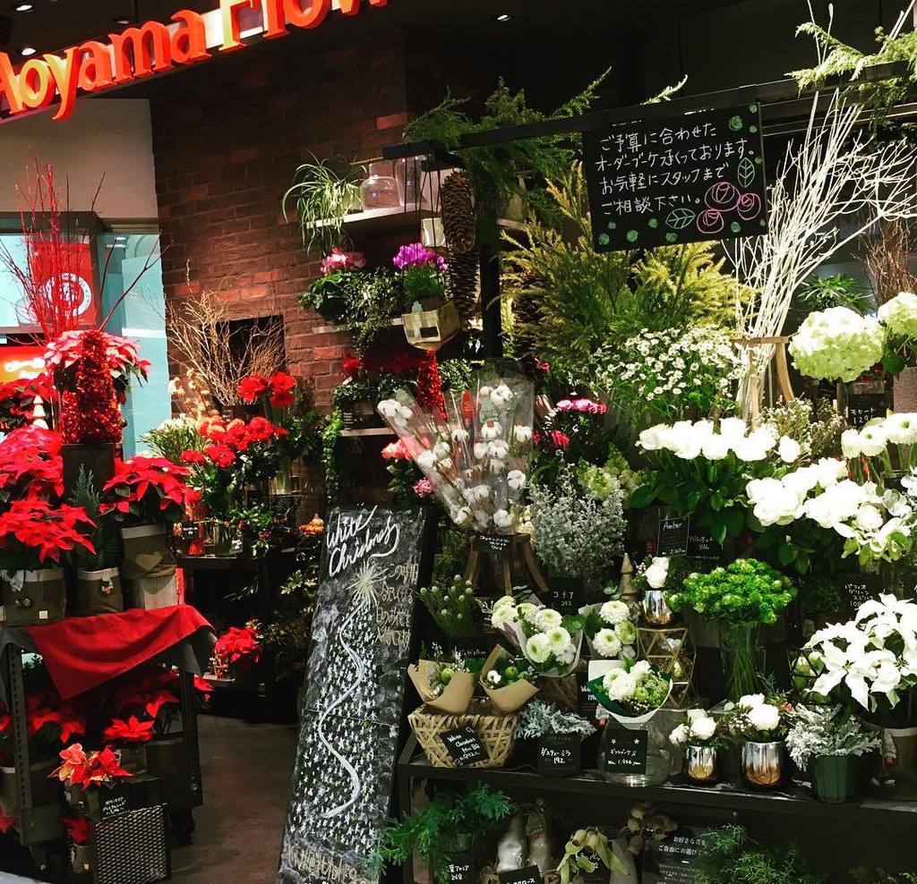 kao_world's tweet photo. 近くの花屋もクリスマスバージョン🎅

#花屋さん #近所 #綺麗な花 #クリスマスバージョン #赤と白 
#flowershops #neighbor #christmasversion #redandwhiteflowers #loveflower #happyholiday https://t.co/YYN186P3RZ https://t.co/XofgY5aApt