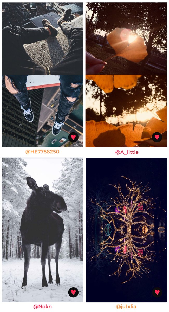 frontbackapp's tweet photo. Hey Frontbackers! Our #selectionoftheweek is here, check it out: https://t.co/zBdWCdDBkM 
Download the latest version of the app to enjoy our new video feature: https://t.co/rR6bUxJSdJ   
#picoftheday #socialapp #photoapp #videoapp #frontback https://t.co/uTNjeYhAsg