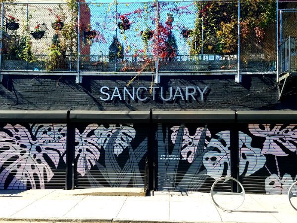 FajoMagazine's tweet photo. #APhotofromNewYork: Experiencing a moment of zen at @sanctuarywillyb. Read the full story in FAJO here: https://t.co/pO7jCXH1Wy https://t.co/fGTVZFC1sh