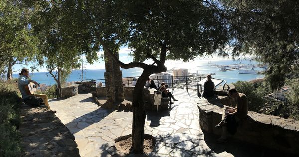 danadventurer's tweet photo. https://t.co/hj4u12OZaa Malaga in winter. #travel #ttot #nature #photo #vacation #Hotel #adventure #landscape https://t.co/AXA6DrO35K https://t.co/G4wpFH07oh