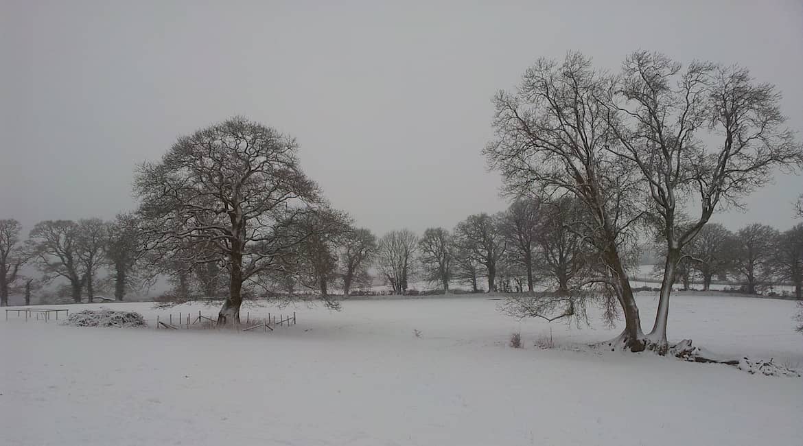 A Winter Folk Show: Episode 16 dlvr.it/Q65dkb via @fruk