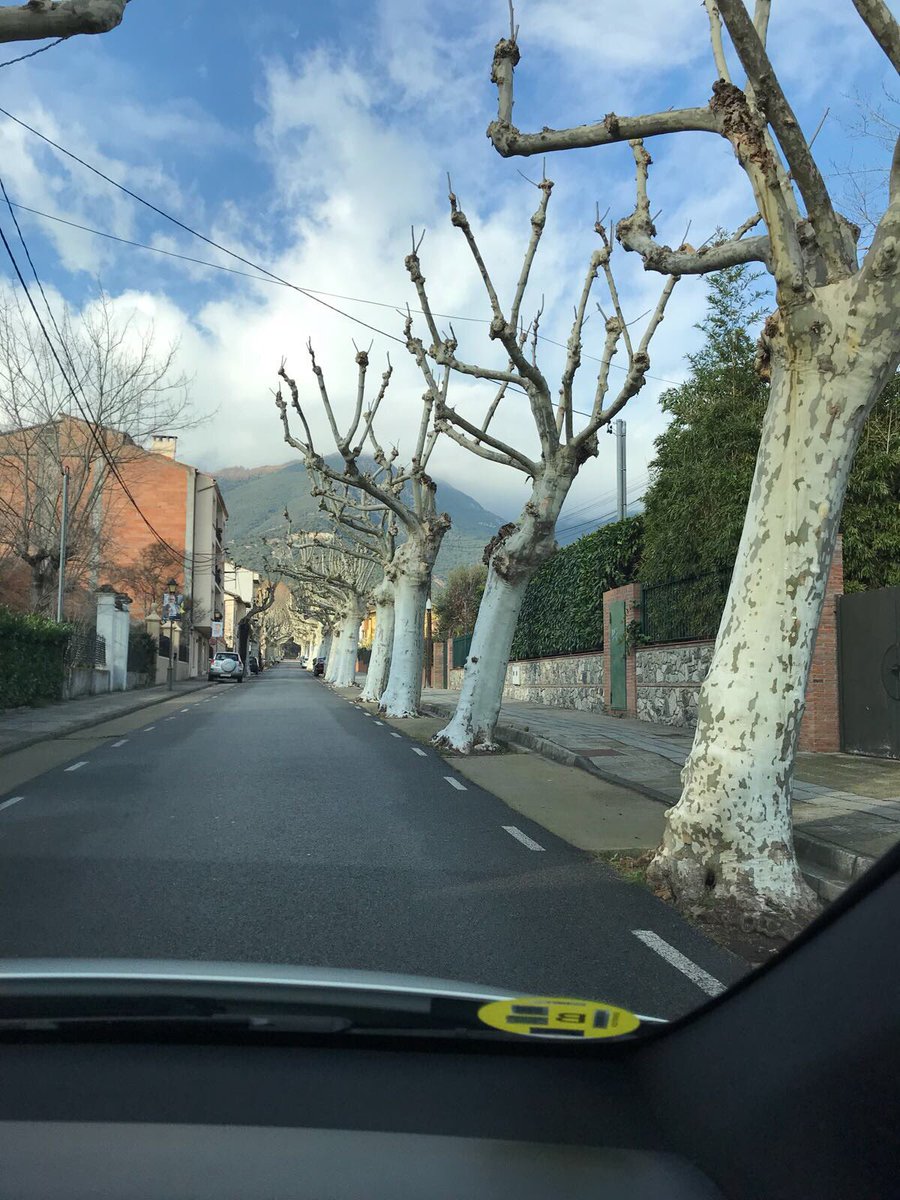 Impulso_Ciudada's tweet photo. Gualba, limpia de esteladas y pancartas pro-presos tras el aviso de la JEZ al ayuntamiento. Nuestra campaña te ayuda a denunciar los abusos del secesionismo y a garantizar la neutralidad de las administraciones de cara al 21D. https://t.co/j0dGj6xgfg