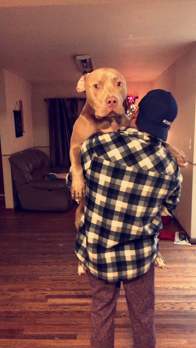 Athally_'s tweet photo. Baby Tank isn’t a baby anymore 😭 https://t.co/xOXVtOiZPE