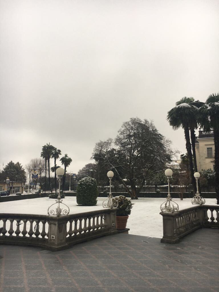 Il nostro Hotel avvolto da un manto bianco..
#HotelReginaPalace #winterseason #neve #bianconatale #lagodinverno