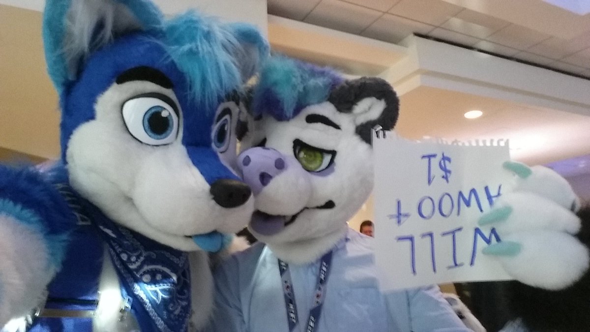 DatBlueHusky's tweet photo. Oh Frankie, you such a derp. #mcfc2017 #fursuitfriday https://t.co/yPtgk28rsu