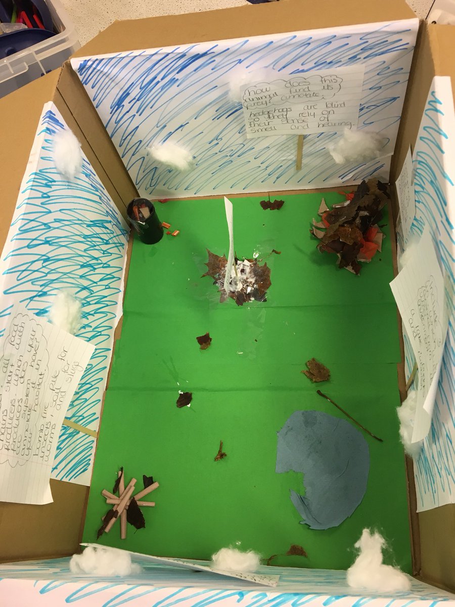 BrightonHill Science tweet media