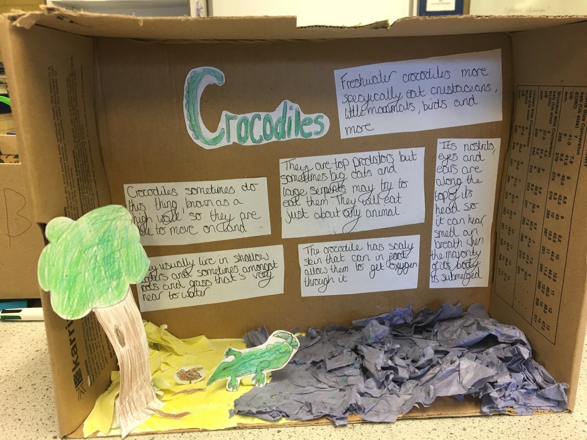 BrightonHill Science tweet media