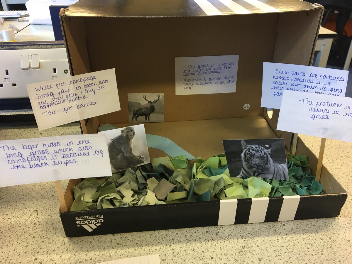 BrightonHill Science tweet media