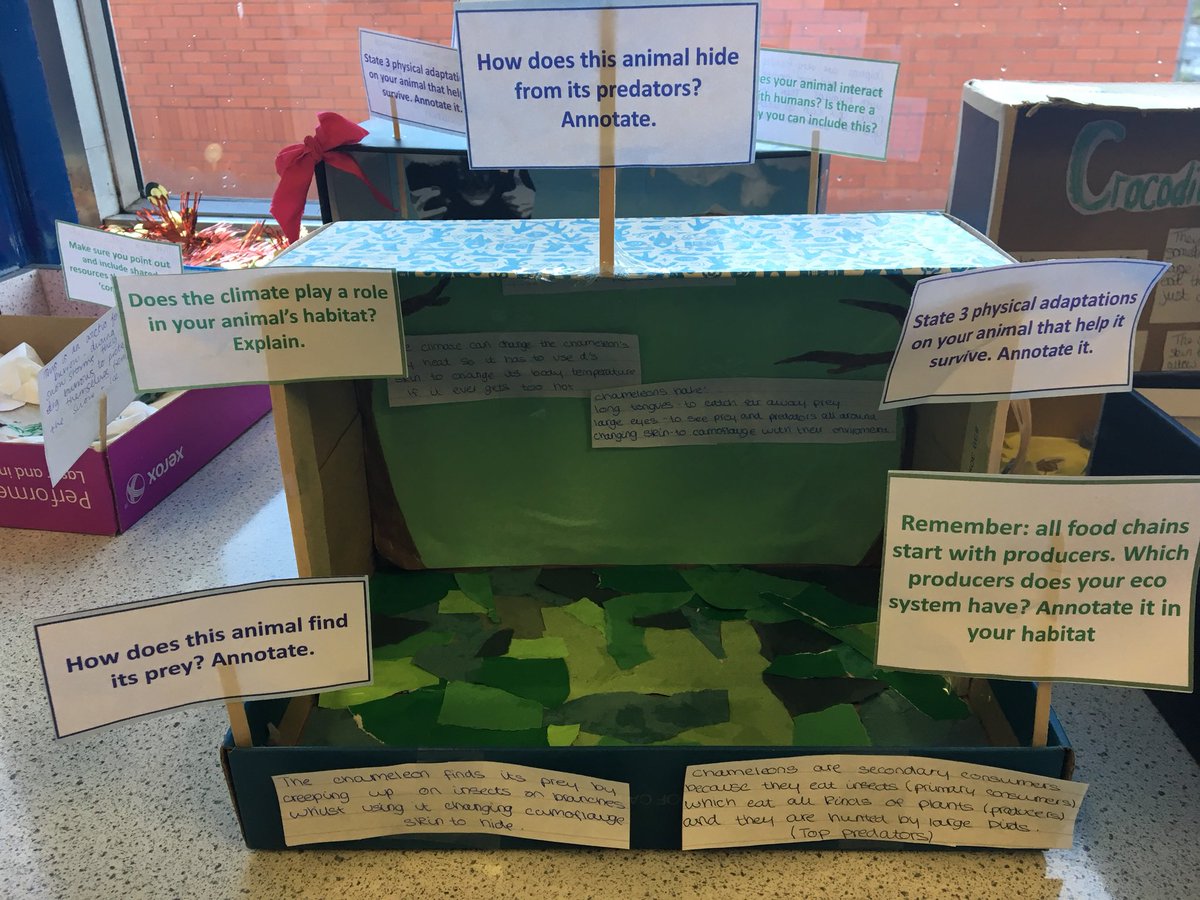 BrightonHill Science tweet media