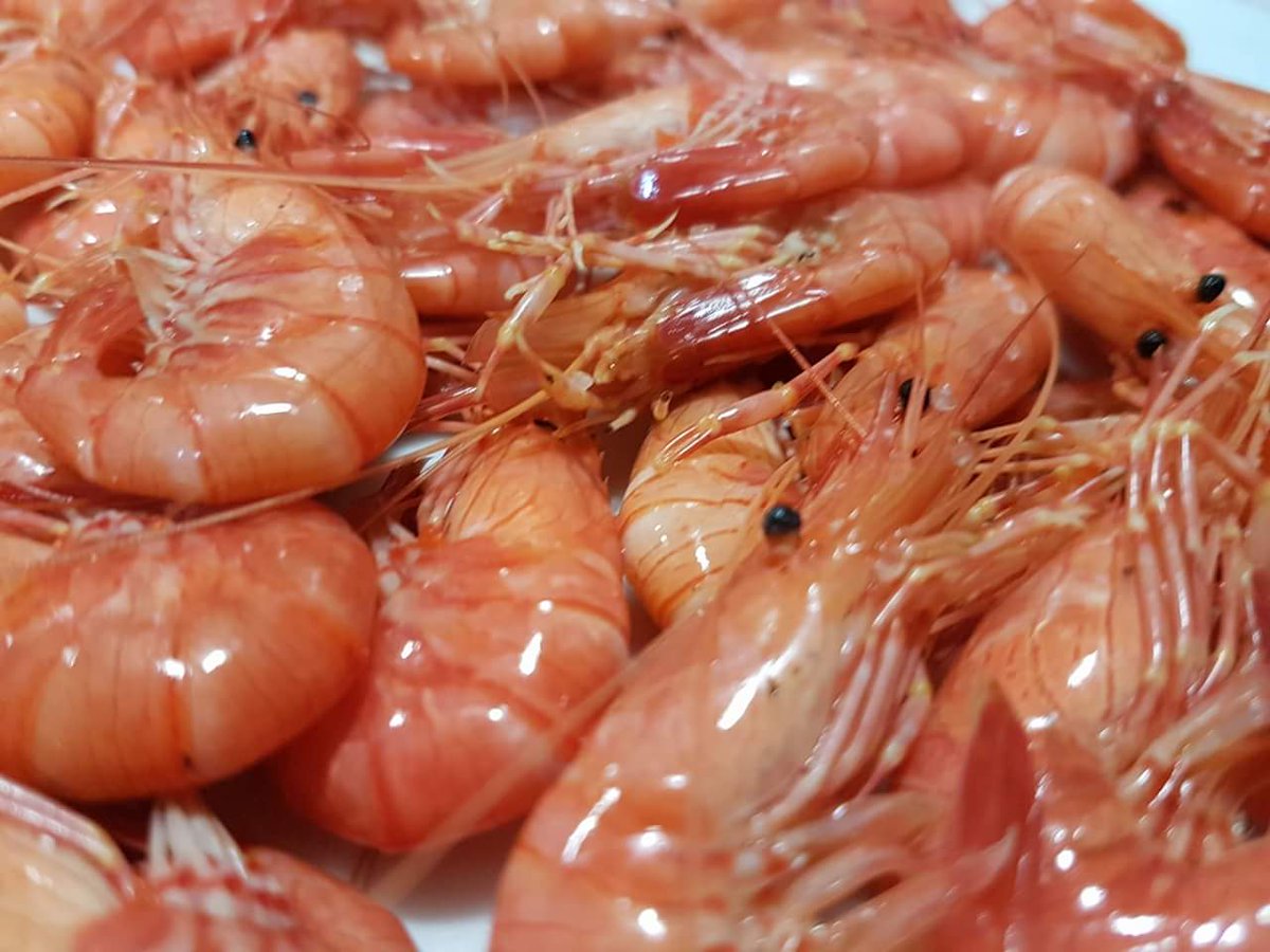 AChabola's tweet photo. Un marisco que encanta a todo el mundo.. camarones #Achabola #praiadearealonga #mariscos #pescados #arroces https://t.co/n8jDF359v2