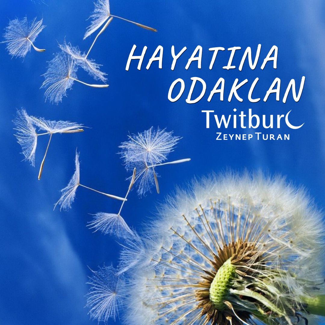 twitburc's tweet photo. Başkasının parasını, varlıklarını hata mutluluğunu konuştuğumuz sürece zaten iyi olamayız. Çünkü nefsimize takılan, dilimize dolanan, hatta aklımızdan gecen bizi Allah’a yakınlaştırmaz. https://t.co/g4uet43u7J https://t.co/m3B8eHX7VU