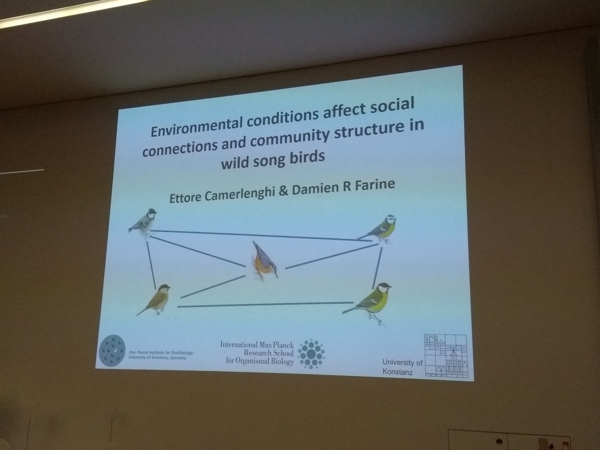 @ettorecamerlen1 giving a nice talk on the effect of temperature on wintering tit group structure and composition. #GFT #SocialComplexity