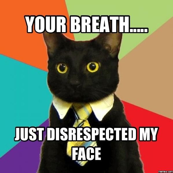 TUNGbrush's tweet photo. Your breath... just disrespected my face! #Cat #Kitten #CatInATie #FridayFunnies #TUNGBrush #FunnyFriday #CleanBreath #HealthTip #BadBreath #Eww #CatMeme https://t.co/U0Fn41ByBs