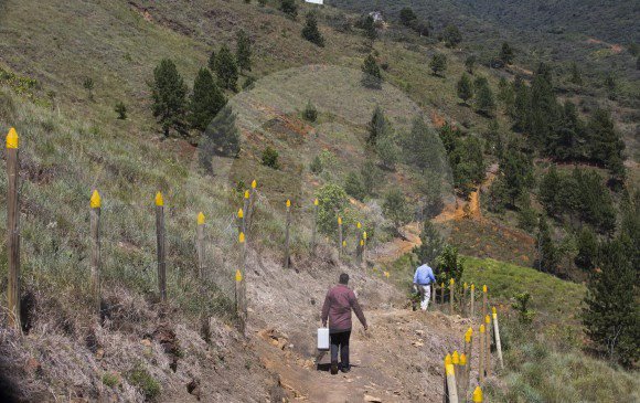 MinAmbienteCo's tweet photo. Antioquia cuenta con tres de los cinco Bosques de Paz declarados en el país para cuidar el ambiente y rendir un homenaje a las víctimas del conflicto https://t.co/sG9jeCrWGB https://t.co/BO7O3a3Qgc