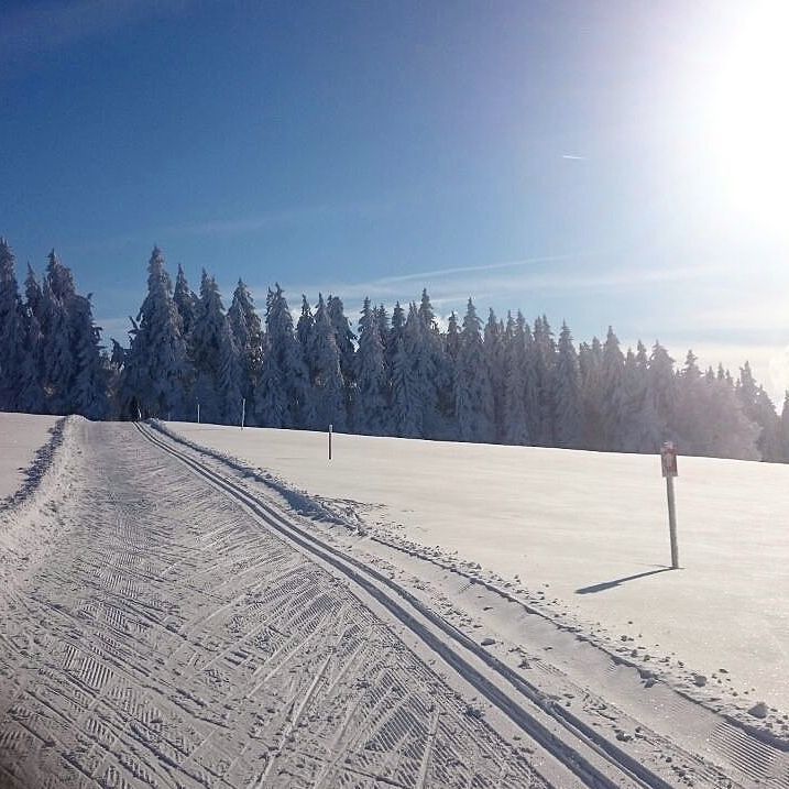 ENITRacingTeam's tweet photo. #dankfrauholleaufdierolle #neindanke So macht auch das Wintertaining Spaß! 
#schwarzwaldliebe #schwarzwald #Schnee #Sonne #winter #Langlauf #skaten #loipe https://t.co/nevZG3saBC https://t.co/k8WuxjzdUb