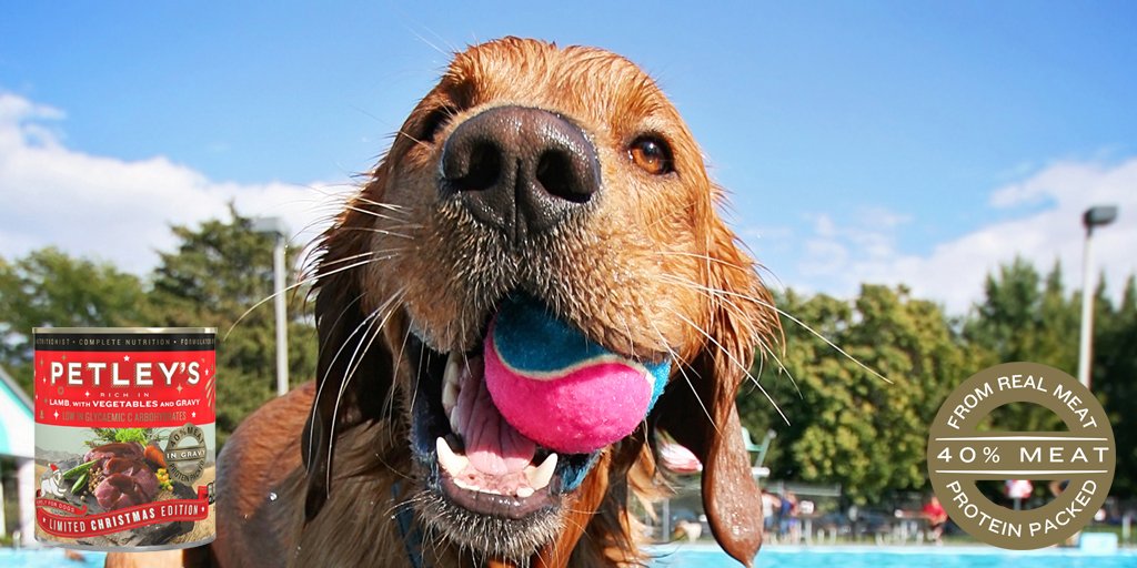 PETLEY'S tweet media