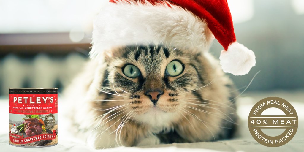 PETLEY'S tweet media