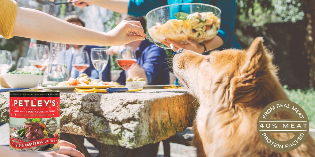 PETLEY'S tweet media