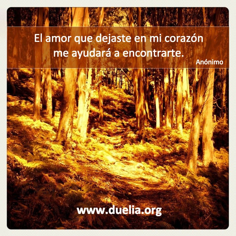 redduelia's tweet photo. "El amor que dejaste en mi corazón me ayudará a encontrarte" #duelo #perdida https://t.co/ofaXTZKm0R