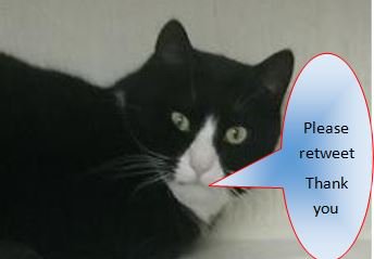 Please retweet today to give BARK the chance of winning £100.  Thank you #LocalCharitiesDay @localgiving