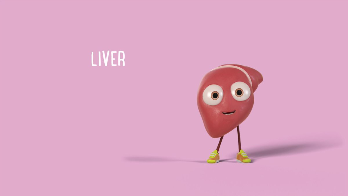 LLTGL's tweet photo. This is our friend Liver from The @Orgamites! She’s one of our busiest organs, playing a role in almost every function in the body. The #liver is the second most transplanted organ & can be given by a #livingdonor, as it can actually regrow! Amazing stuff! #organdonor #orgamites https://t.co/Y1wbVUQWGF