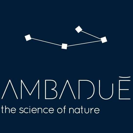 ambadue's tweet photo. #NewProfilePic https://t.co/D17ksCFzOt