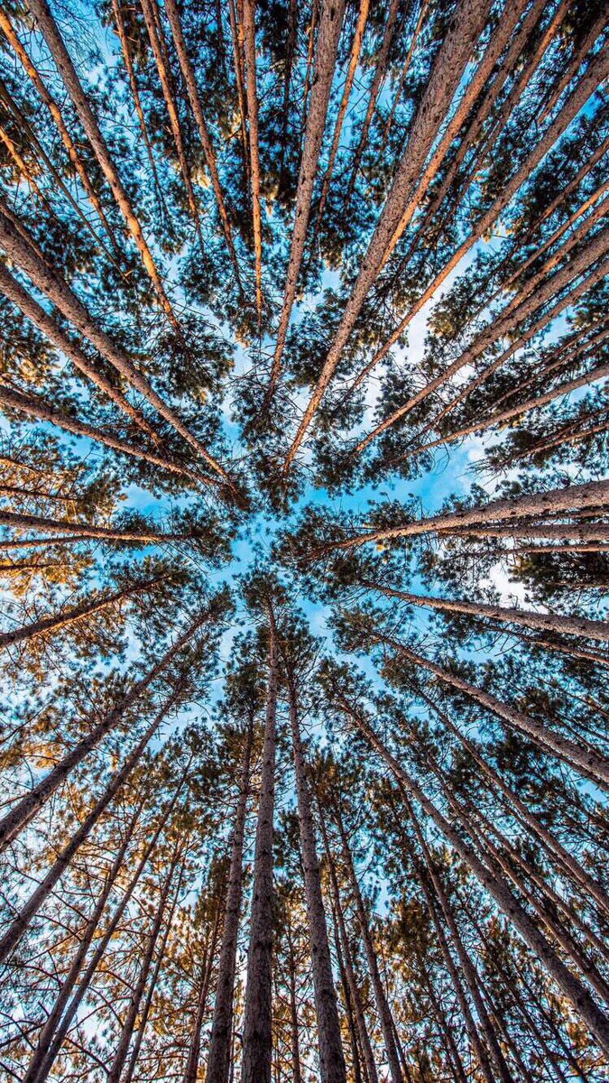 ''Şu dünyayı adamakıllı görmeden, dünyanın ne olduğunu adamakıllı anlamadan buradan gidecek olduktan sonra ne diye buraya geldik sanki ? yaşadığımızın farkına varmayacak olduktan sonra ne diye yaşıyoruz ...?''