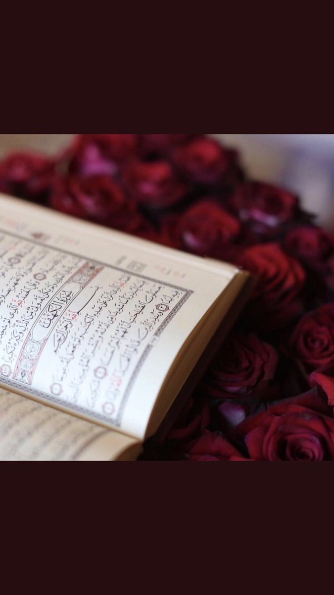 JoOorya87's tweet photo. وفاة بعد وفاة اللهم إن كنت أنا القادم فأحسن خاتمتي واغفر لي وسخر لي من يدعو لي من بعد موتي يارب..💙
#يوم_الجمعه https://t.co/9zKyGcgzi6