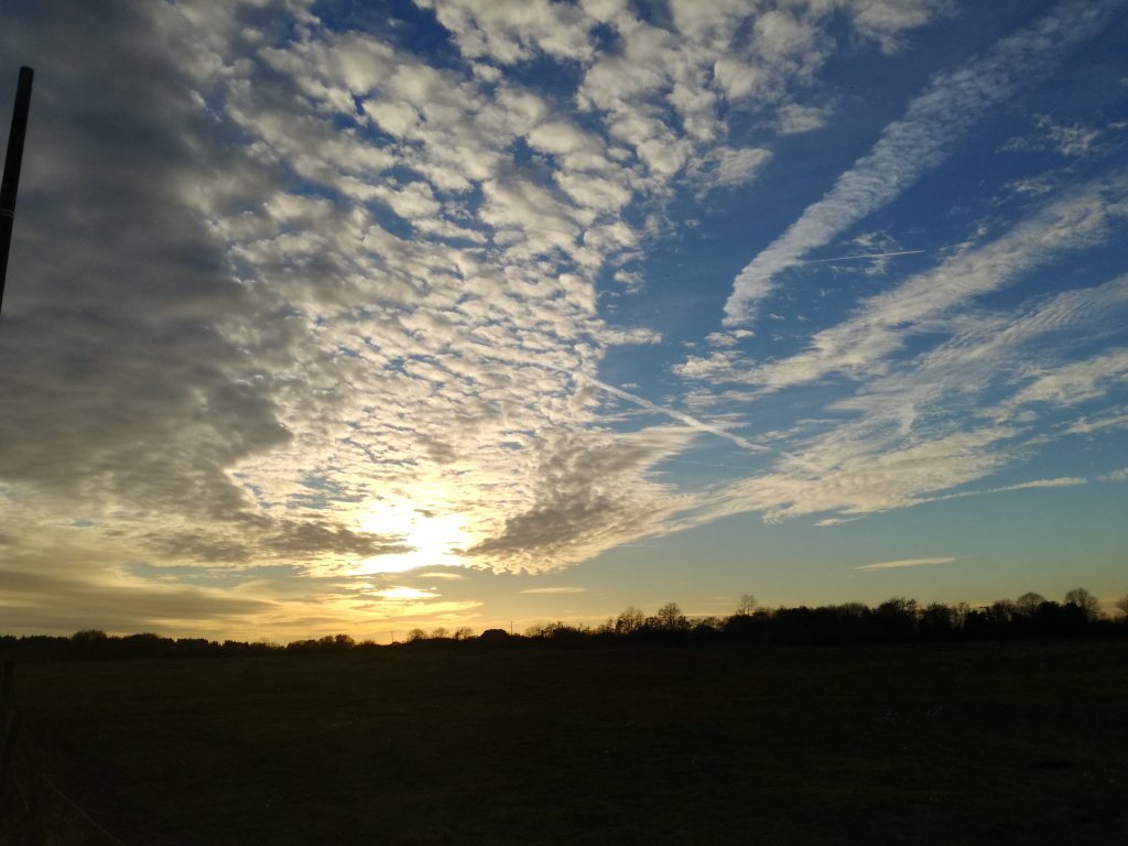 New Post - Mrs RM's ambition to meet the BRAPA posse denied by roadworks on the B1018 on the Dengie Peninsula.  Probably for the best. 
<a href="/MaldonCAMRA/">Maldon+Dengie CAMRA</a> <a href="/WibblersBrewery/">Wibblers Brewery</a> <a href="/StymieSi/">Si BRAPA Everitt</a> retiredmartin.com/2017/12/14/cha…