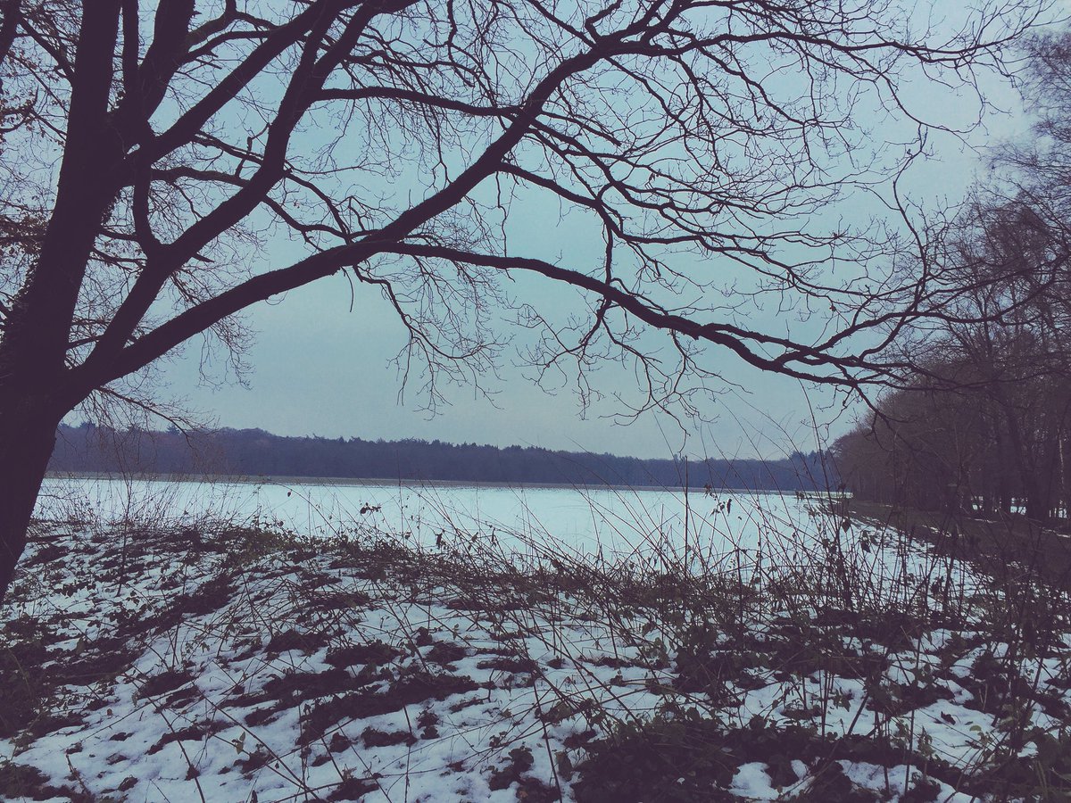 SpieringM's tweet photo. #corversbos #DOcember 36/70 https://t.co/mRVyEg33rg