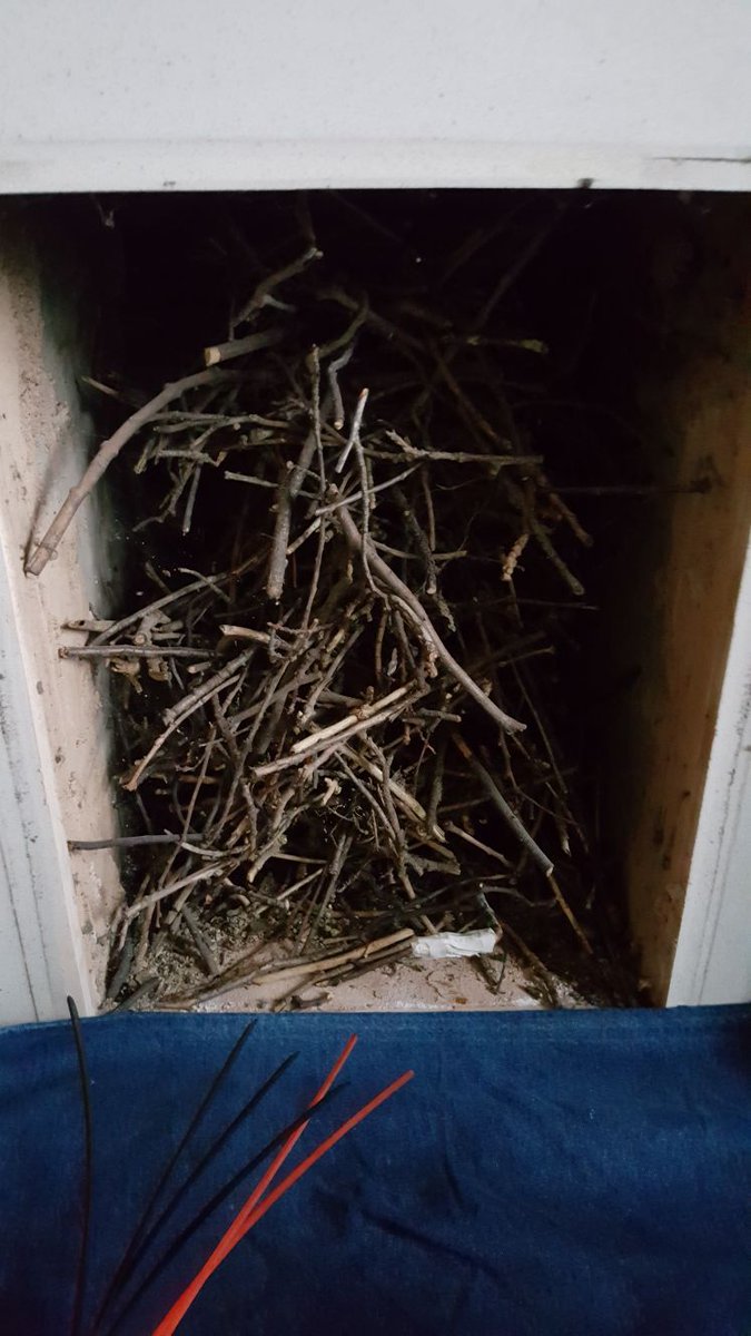 Chimney Sweeps NE tweet media