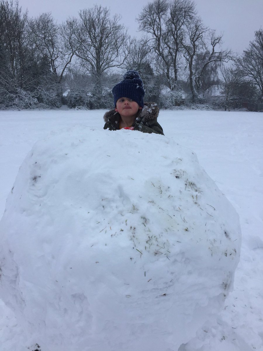 FoMossyBank's tweet photo. How lovely to see families having fun in the snow at Mossy Bank and what a fabulous snowman. https://t.co/0CcOZZo14O