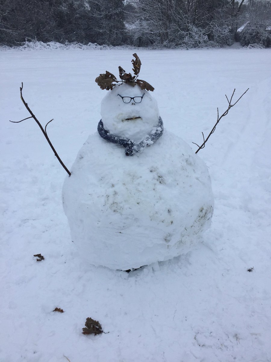 FoMossyBank's tweet photo. How lovely to see families having fun in the snow at Mossy Bank and what a fabulous snowman. https://t.co/0CcOZZo14O